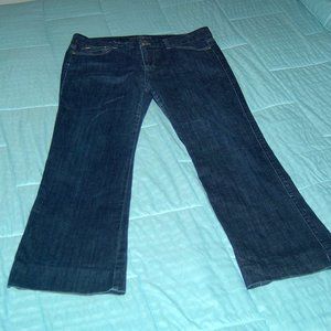 Joe's Jeans Dark Wash Women's Jeans W 32" L 29"